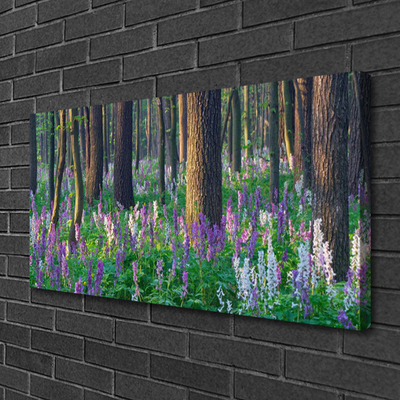 Canvas Kunstdruck Wald Natur