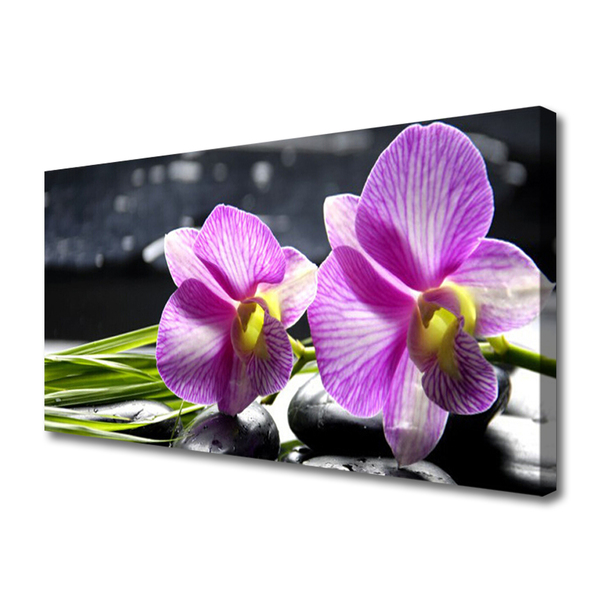 Canvas Kunstdruck Blumen Pflanzen