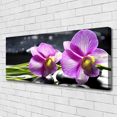 Canvas Kunstdruck Blumen Pflanzen