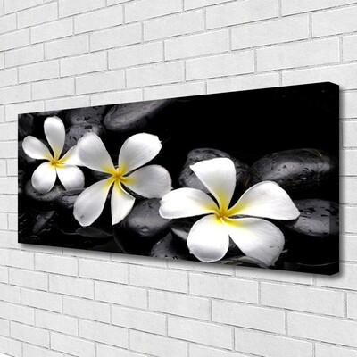 Canvas Kunstdruck Blumen Steine Pflanzen