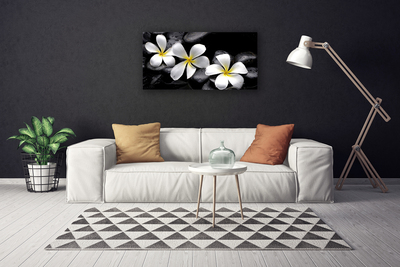 Canvas Kunstdruck Blumen Steine Pflanzen