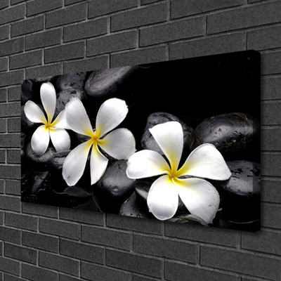 Canvas Kunstdruck Blumen Steine Pflanzen