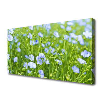 Canvas Kunstdruck Blumen Gras Natur