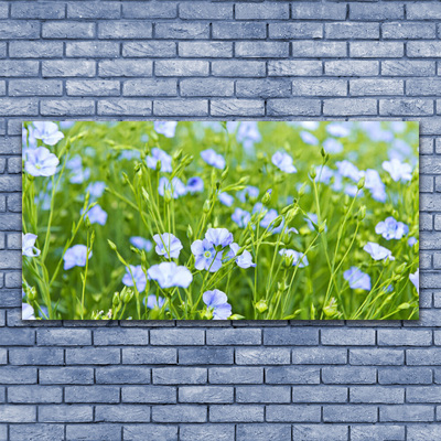 Canvas Kunstdruck Blumen Gras Natur