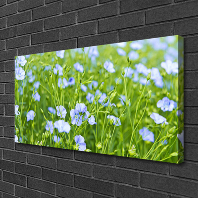 Canvas Kunstdruck Blumen Gras Natur