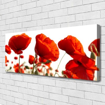 Canvas Kunstdruck Mohnblumen Pflanzen