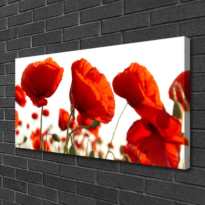 Canvas Kunstdruck Mohnblumen Pflanzen