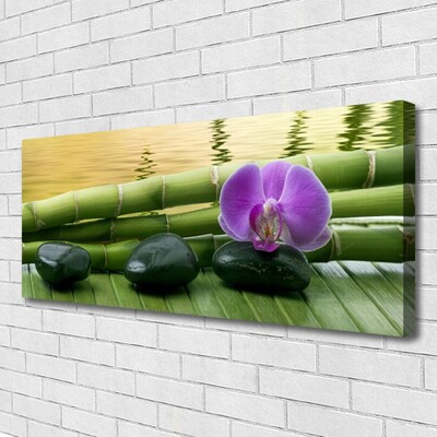 Canvas Kunstdruck Blume Steine Bambusrohre Pflanzen