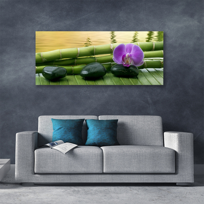 Canvas Kunstdruck Blume Steine Bambusrohre Pflanzen