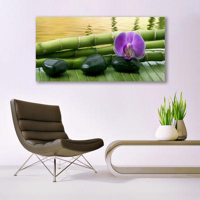 Canvas Kunstdruck Blume Steine Bambusrohre Pflanzen