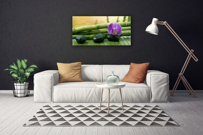 Canvas Kunstdruck Blume Steine Bambusrohre Pflanzen