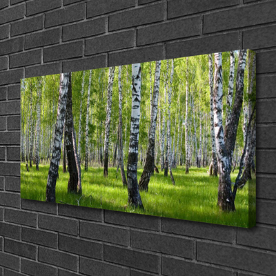 Canvas Kunstdruck Wald Natur