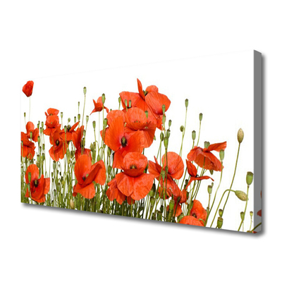 Canvas Kunstdruck Mohnblumen Pflanzen