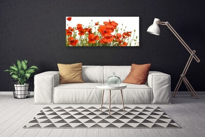 Canvas Kunstdruck Mohnblumen Pflanzen