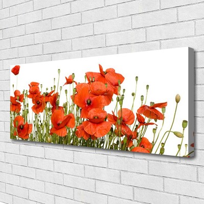 Canvas Kunstdruck Mohnblumen Pflanzen