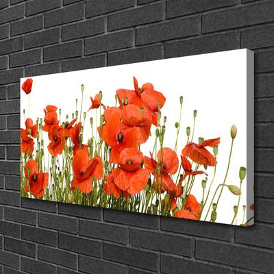 Canvas Kunstdruck Mohnblumen Pflanzen