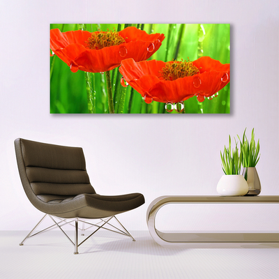 Canvas Kunstdruck Mohnblumen Pflanzen