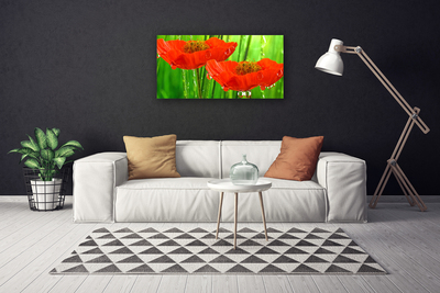 Canvas Kunstdruck Mohnblumen Pflanzen