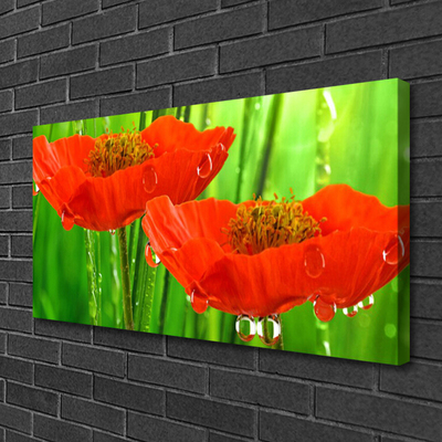 Canvas Kunstdruck Mohnblumen Pflanzen