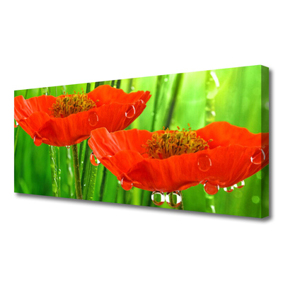 Canvas Kunstdruck Mohnblumen Pflanzen