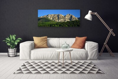 Canvas Kunstdruck Gebirge Wald Natur