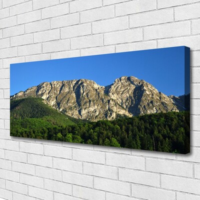 Canvas Kunstdruck Gebirge Wald Natur