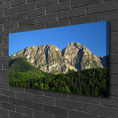 Canvas Kunstdruck Gebirge Wald Natur