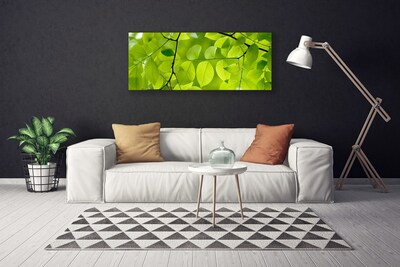 Canvas Kunstdruck Blätter Natur