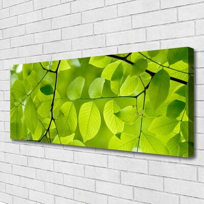 Canvas Kunstdruck Blätter Natur