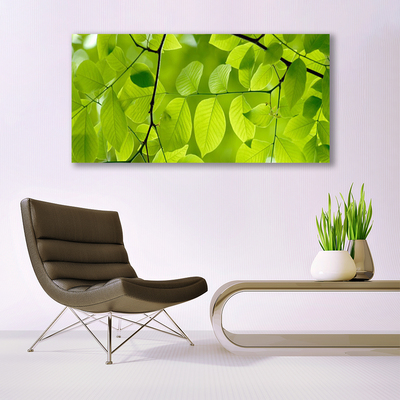 Canvas Kunstdruck Blätter Natur