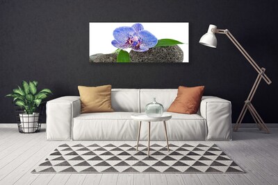 Canvas Kunstdruck Blume Pflanzen