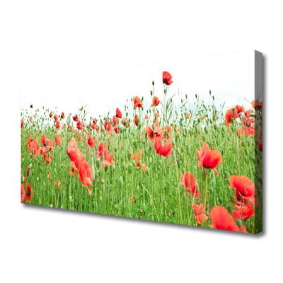 Canvas Kunstdruck Mohnblumen Natur