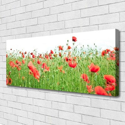 Canvas Kunstdruck Mohnblumen Natur