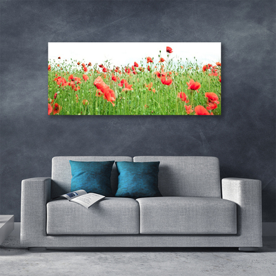 Canvas Kunstdruck Mohnblumen Natur