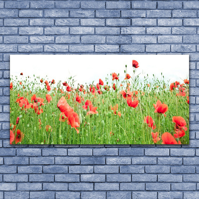 Canvas Kunstdruck Mohnblumen Natur