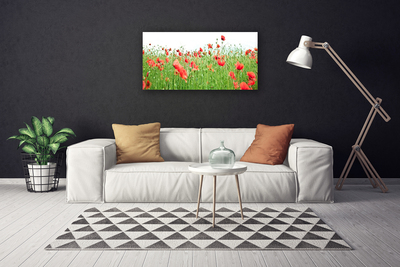 Canvas Kunstdruck Mohnblumen Natur