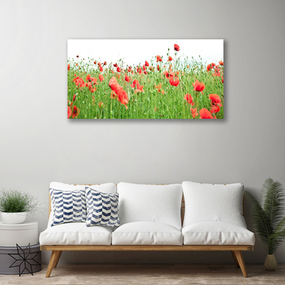 Canvas Kunstdruck Mohnblumen Natur