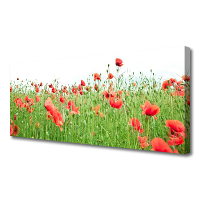 Canvas Kunstdruck Mohnblumen Natur