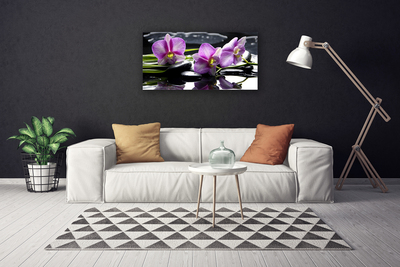 Canvas Kunstdruck Blumen Steine Pflanzen