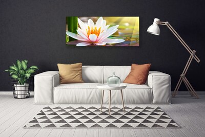 Canvas Kunstdruck Blumen Pflanzen