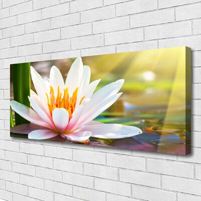 Canvas Kunstdruck Blumen Pflanzen