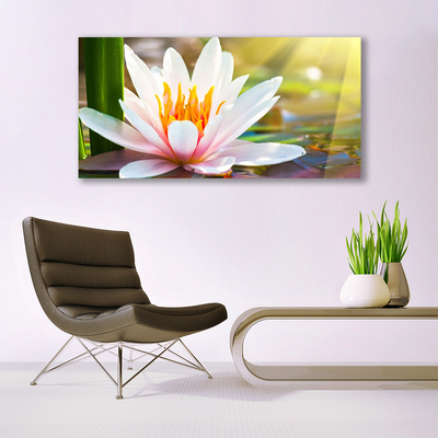 Canvas Kunstdruck Blumen Pflanzen