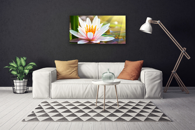 Canvas Kunstdruck Blumen Pflanzen