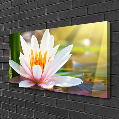 Canvas Kunstdruck Blumen Pflanzen