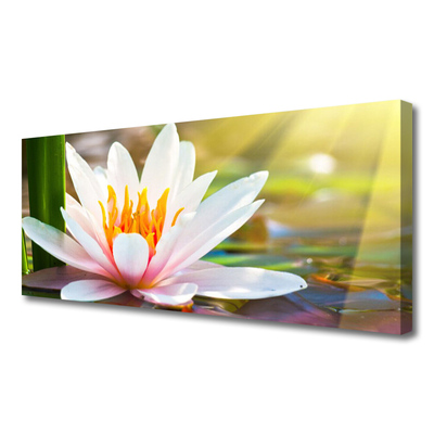 Canvas Kunstdruck Blumen Pflanzen