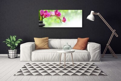 Canvas Kunstdruck Blumen Steine Pflanzen