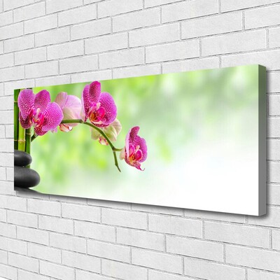 Canvas Kunstdruck Blumen Steine Pflanzen