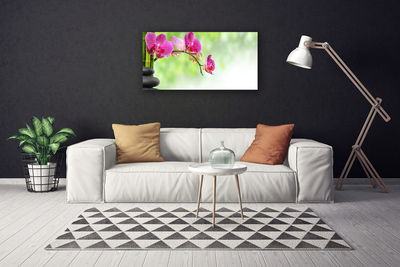 Canvas Kunstdruck Blumen Steine Pflanzen