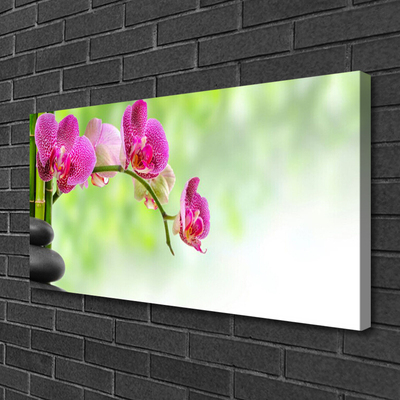 Canvas Kunstdruck Blumen Steine Pflanzen