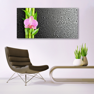 Canvas Kunstdruck Bambusrohre Blume Pflanzen